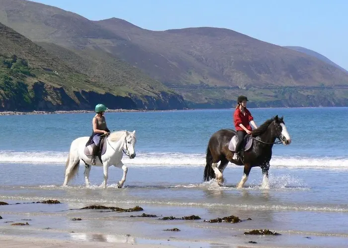 Nocleg ze śniadaniem Glencurrah House Glenbeigh